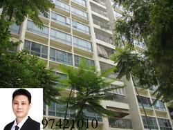 Blk 518C The Premiere @ Tampines (Tampines), HDB 5 Rooms #83216752